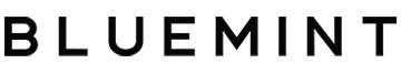 Bluemint-Logo